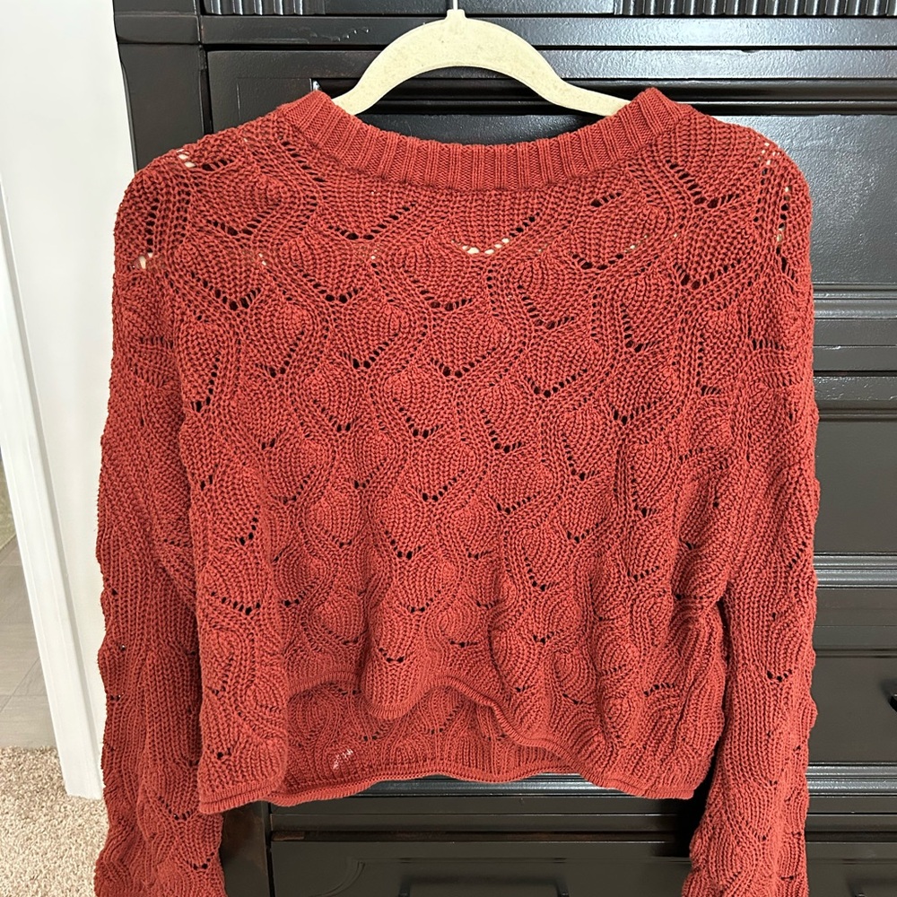 Cozy Knit Sweater in Rust
